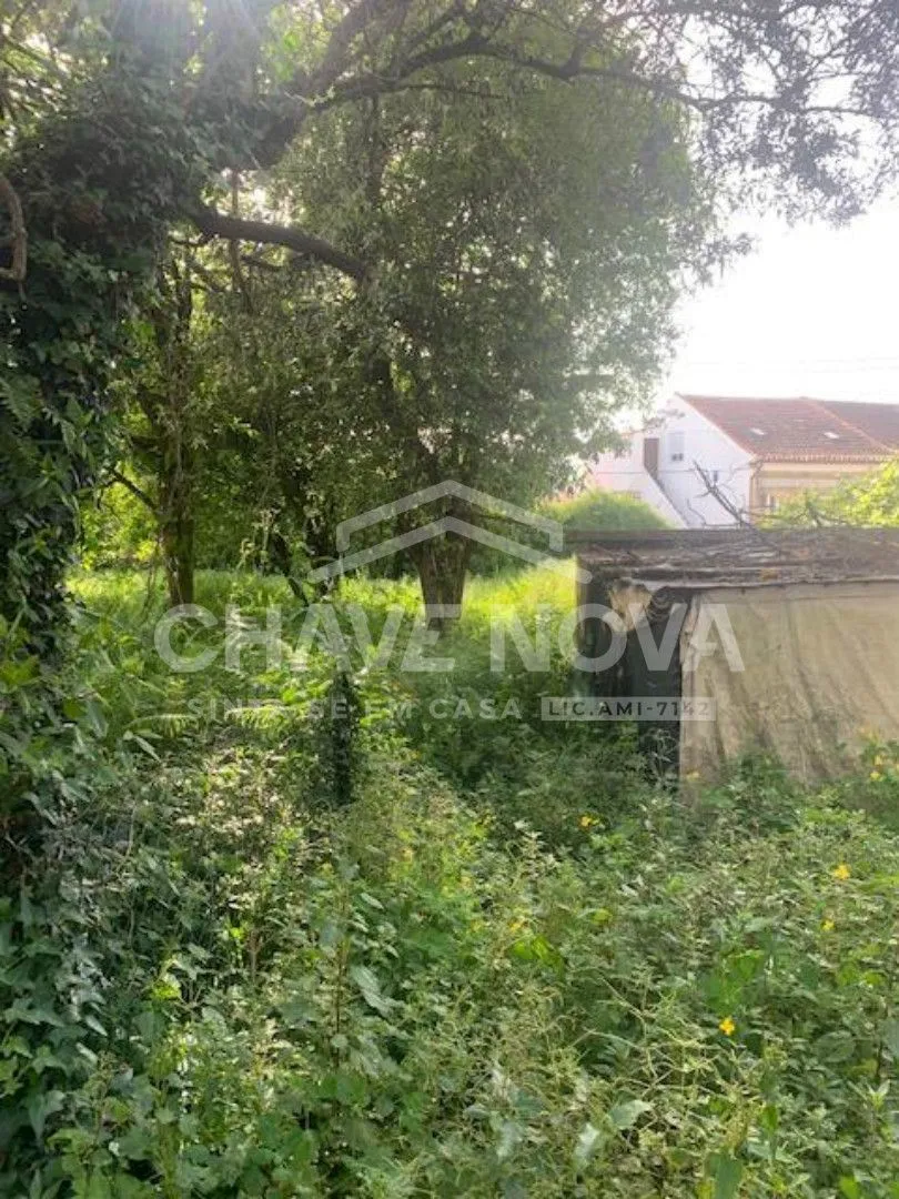 Terreno para construção de prédio em  Pedrouços ( próximo S João ) - 3