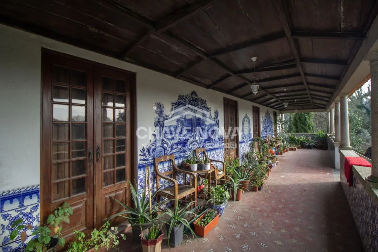 Quinta com  25 hectares venda  c/ produção vinho verde pouco minutos do Porto 