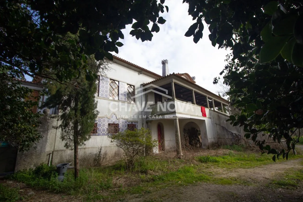 Quinta com  25 hectares venda  c/ produção vinho verde pouco minutos do Porto  - 2