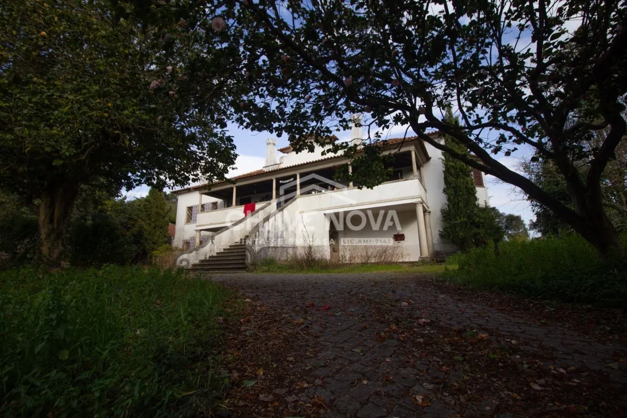 Quinta com  25 hectares venda  c/ produção vinho verde pouco minutos do Porto  - 3