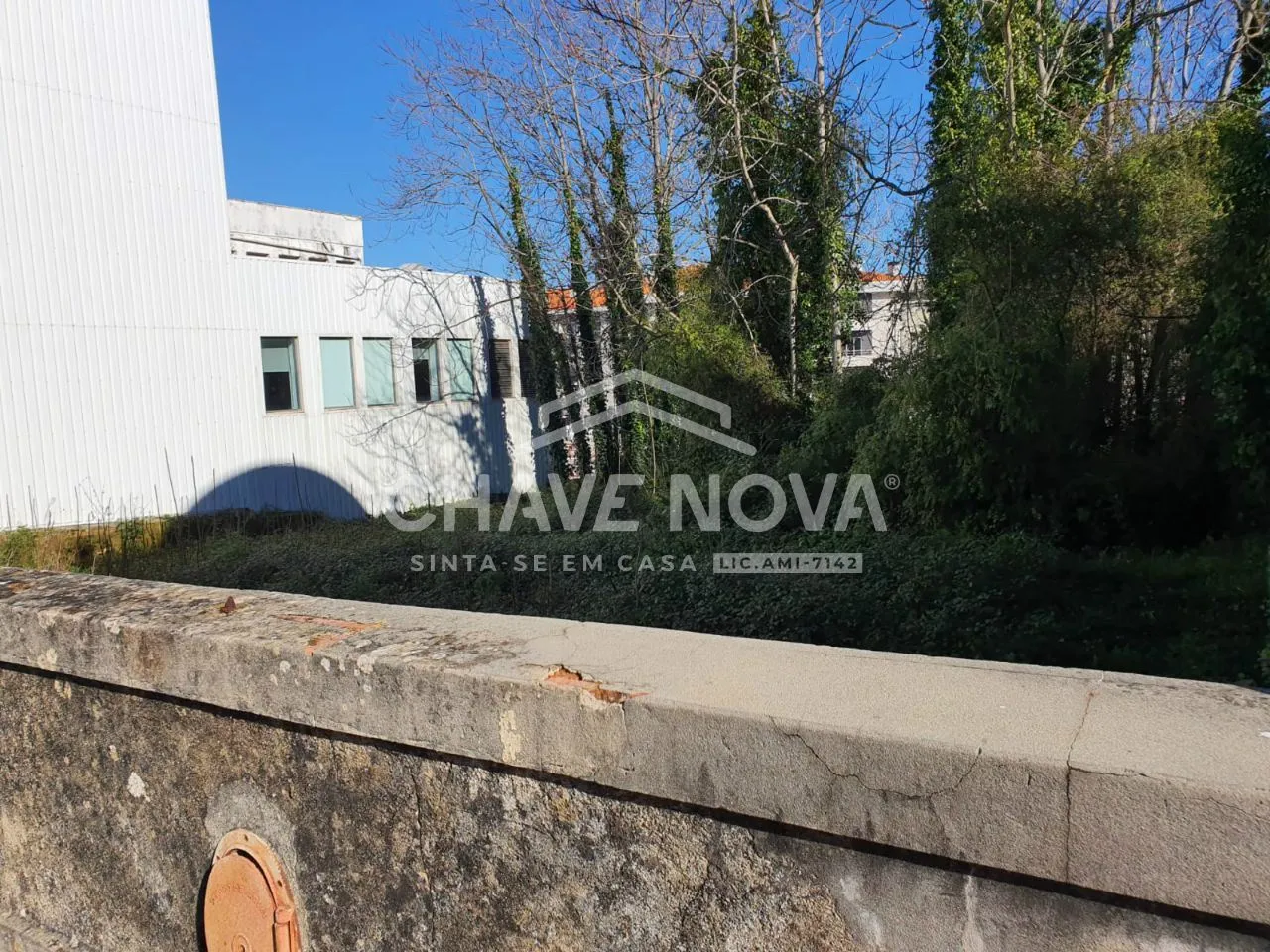 Vende-se Terreno e Moradia para Construção ou Restauro no centro Oliveira do Bairro - 2