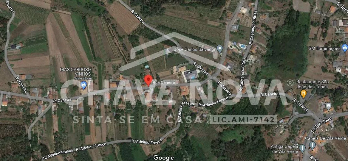 Vinha para Venda em Oliveira do Bairro  - 2