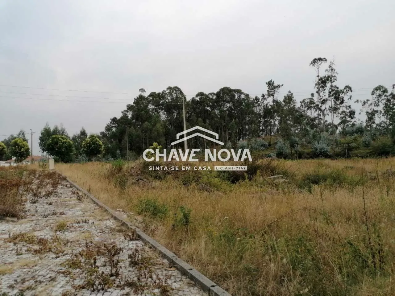 Terreno urbano em Fajões, Oliveira Azeméis - 3