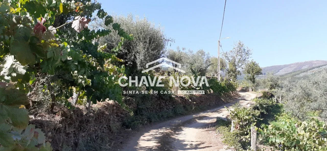    Terreno com projecto para construção de Moradia - Castelo de Paiva 