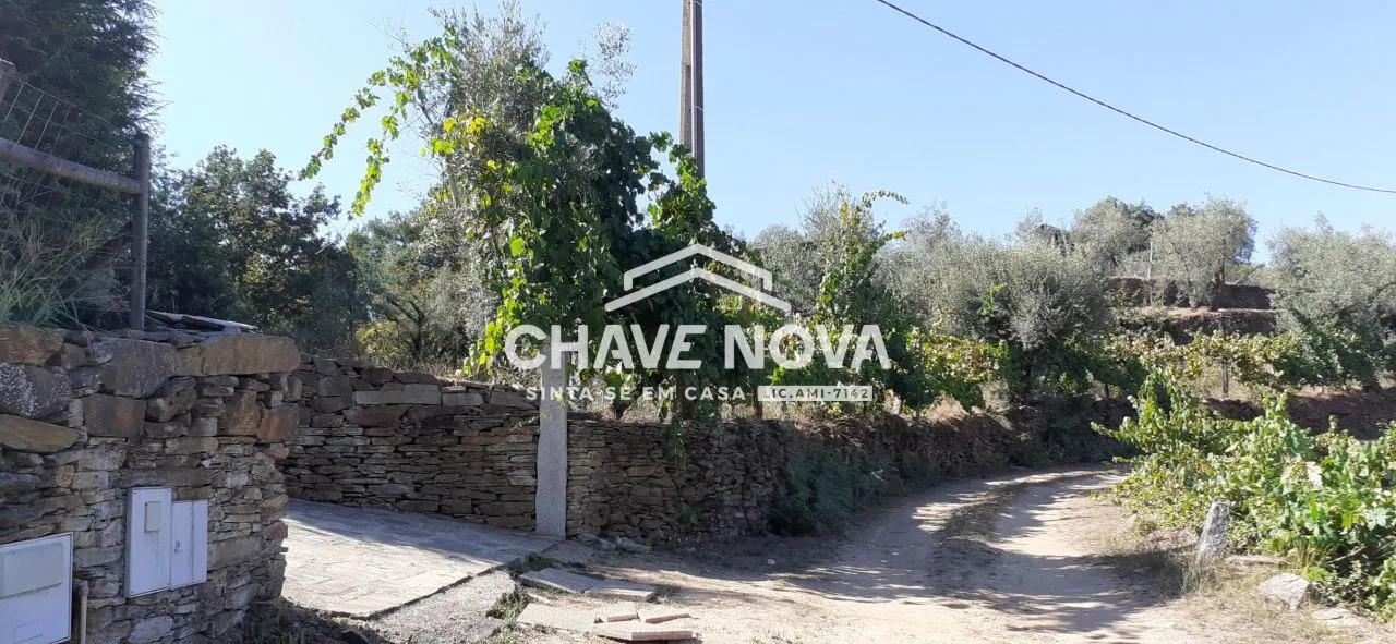    Terreno com projecto para construção de Moradia - Castelo de Paiva  - 2