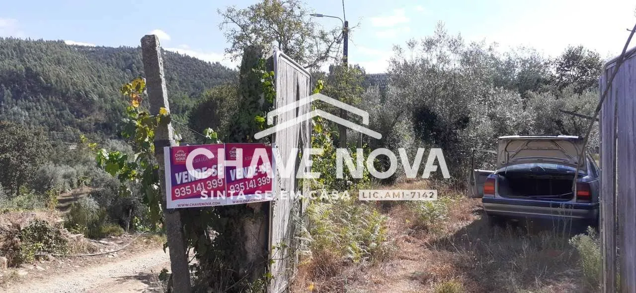    Terreno com projecto para construção de Moradia - Castelo de Paiva  - 3