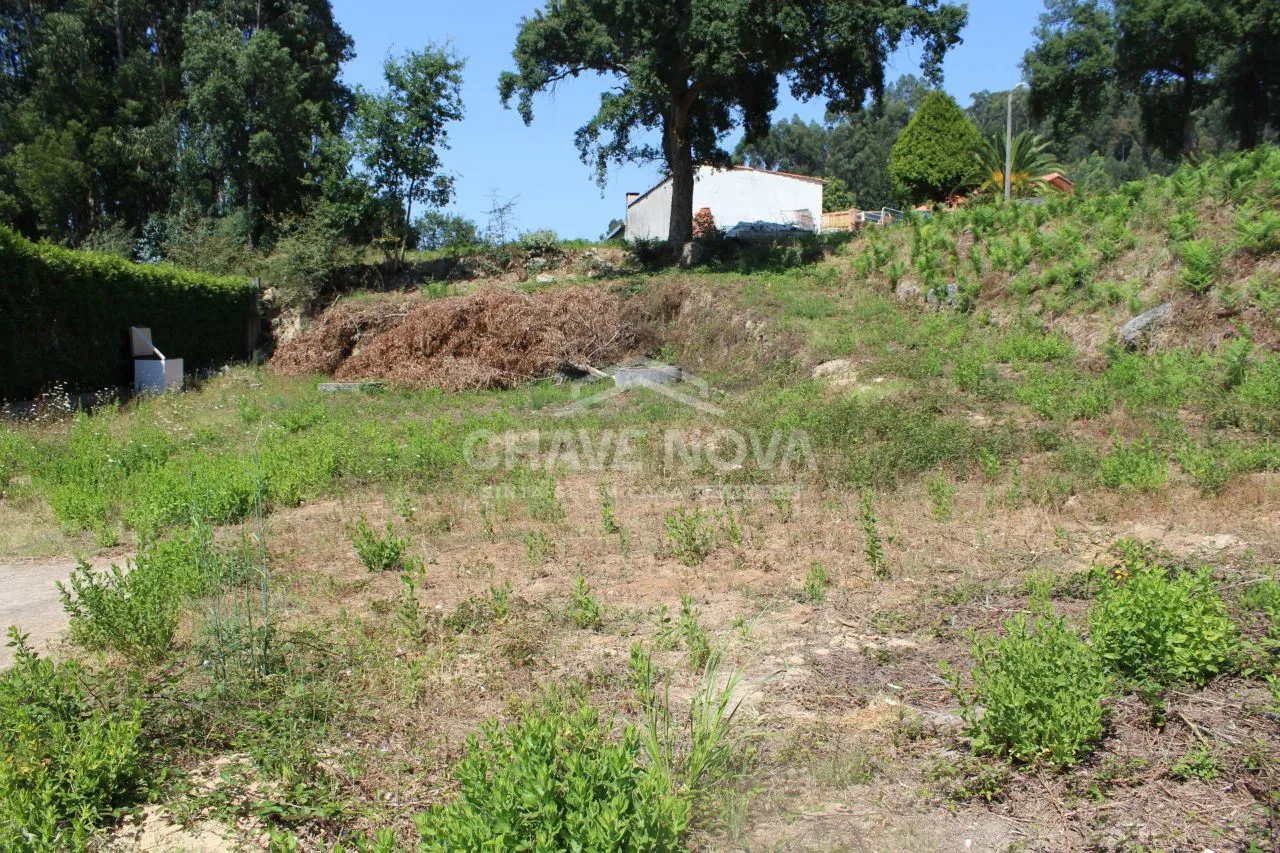 Lote de terreno Canelas - 2