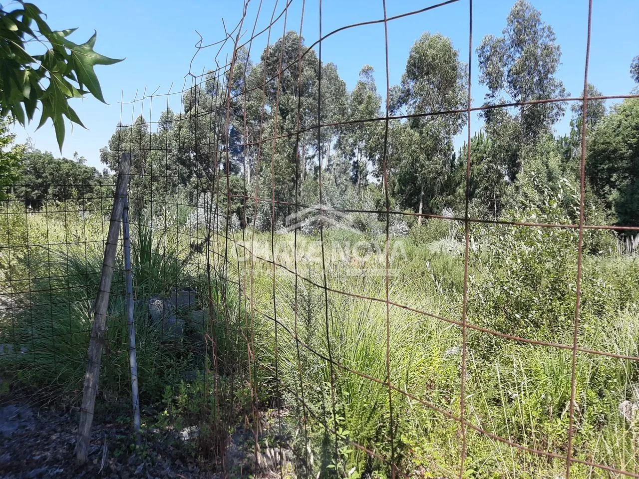 Lote Urbano para construção de moradia - 2