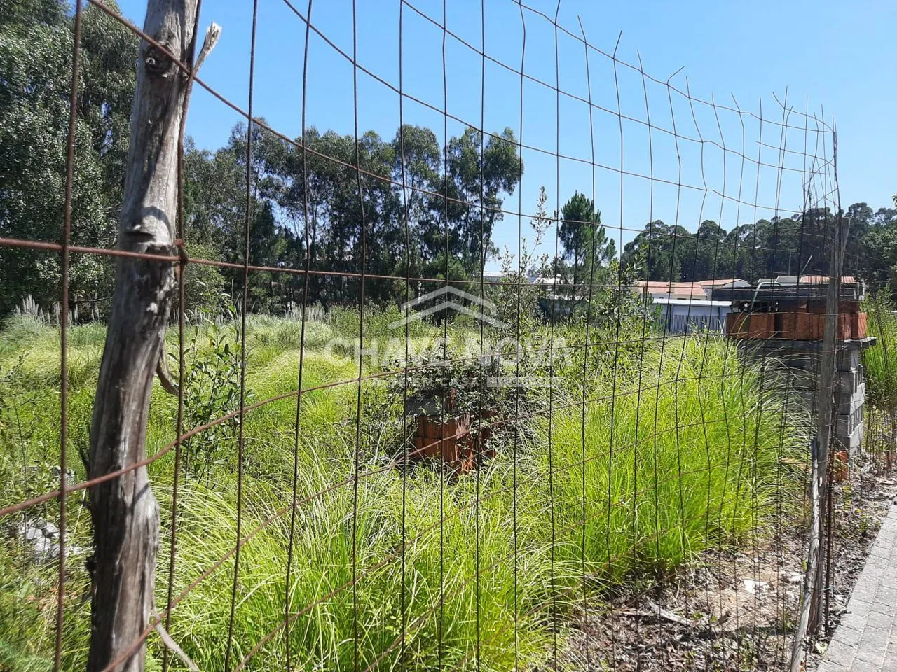 Lote Urbano para construção de moradia - 3