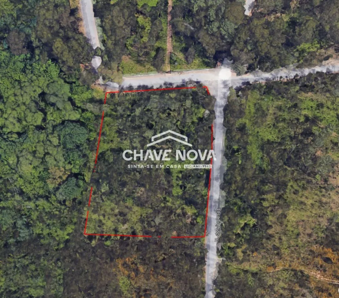 Terreno em Macieira de Sarnes c/ 6000 m2 - 3