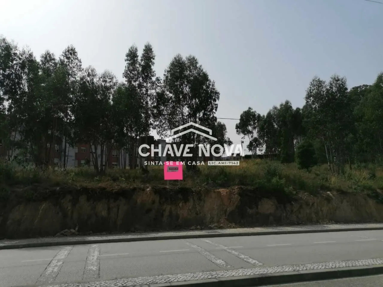 Terreno para venda em Oliveira de Azeméis  - 2