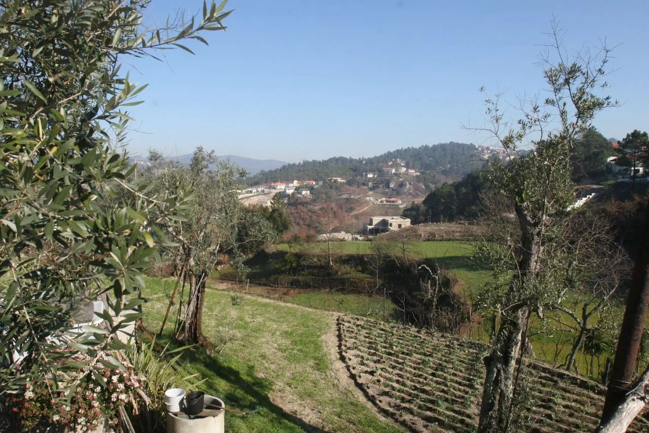 Quintinha  com 2.55Ha de Terreno, Moradia P/ Restauro ou Reconstrução, em Amarante - Rio Tâmega  - 2