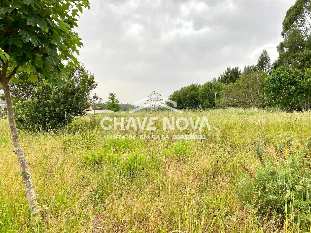 Lote Terreno p/Moradia em Banda - São Miguel de Souto - 3