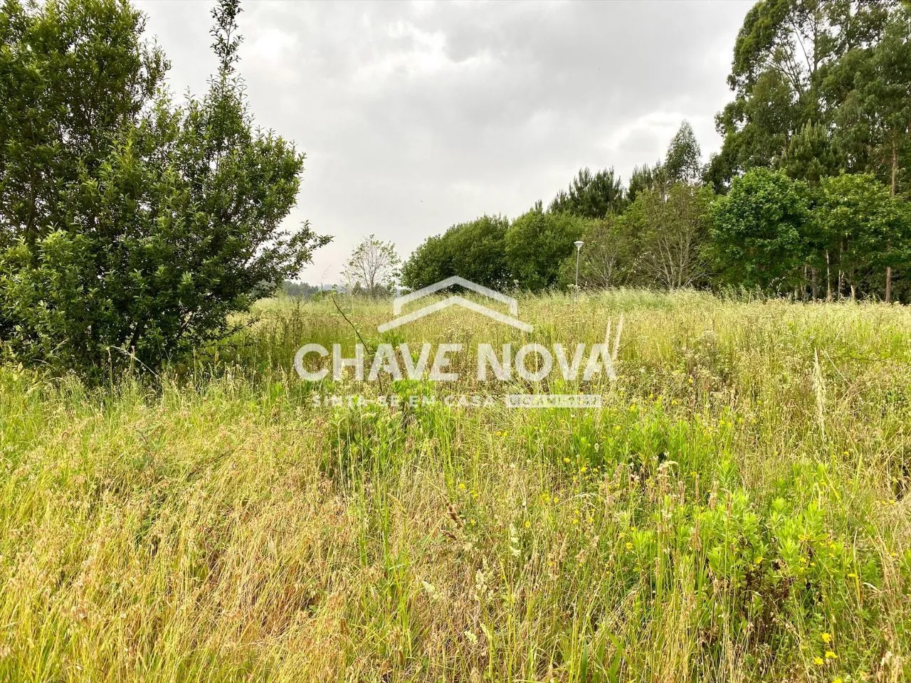 Lote Terreno p/Moradia em Banda - São Miguel de Souto - 2