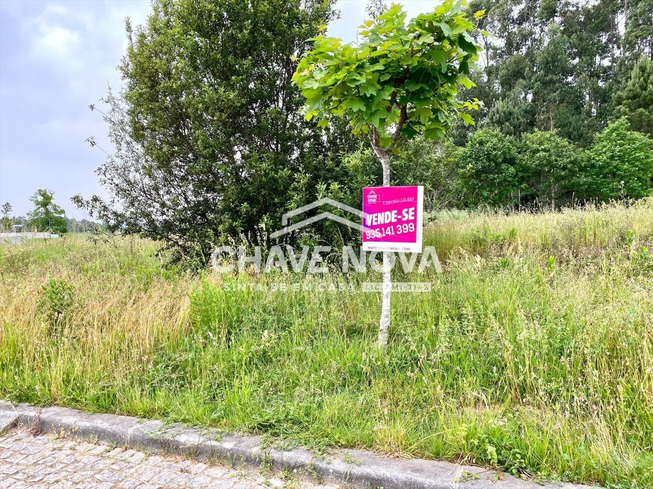 Lote Terreno p/Moradia em Banda - São Miguel de Souto