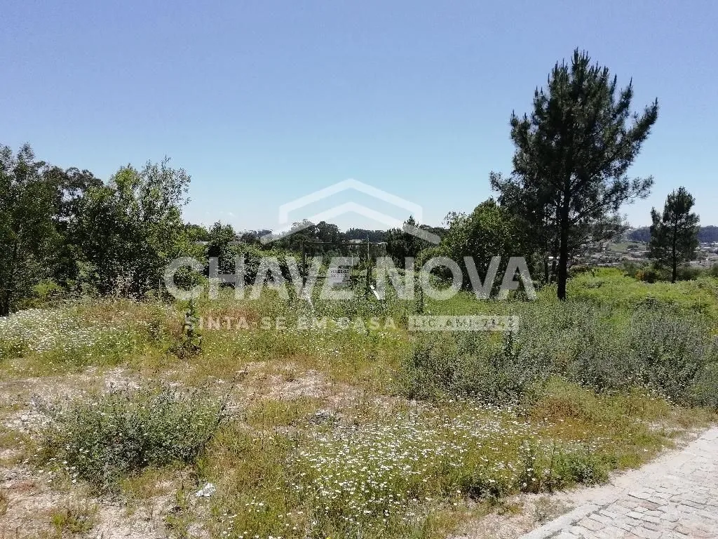 Terreno em Paredes