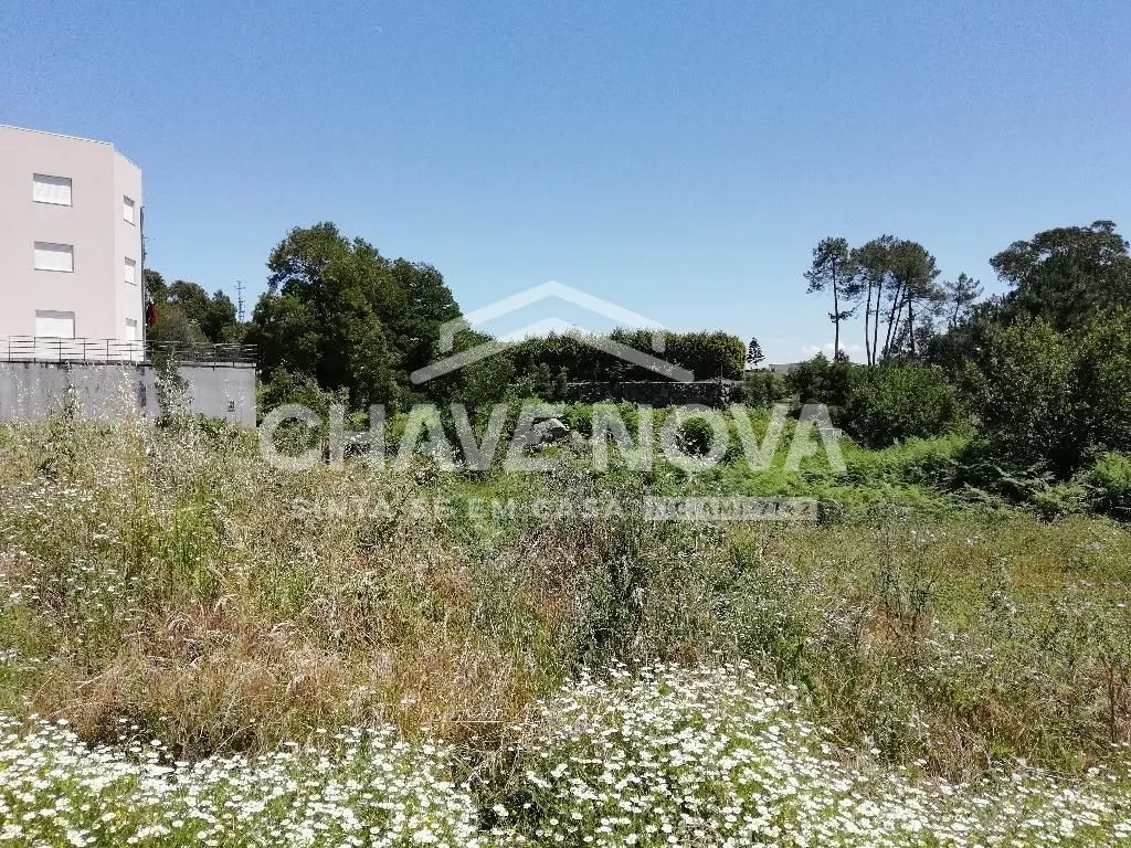 Terreno em Paredes - 2