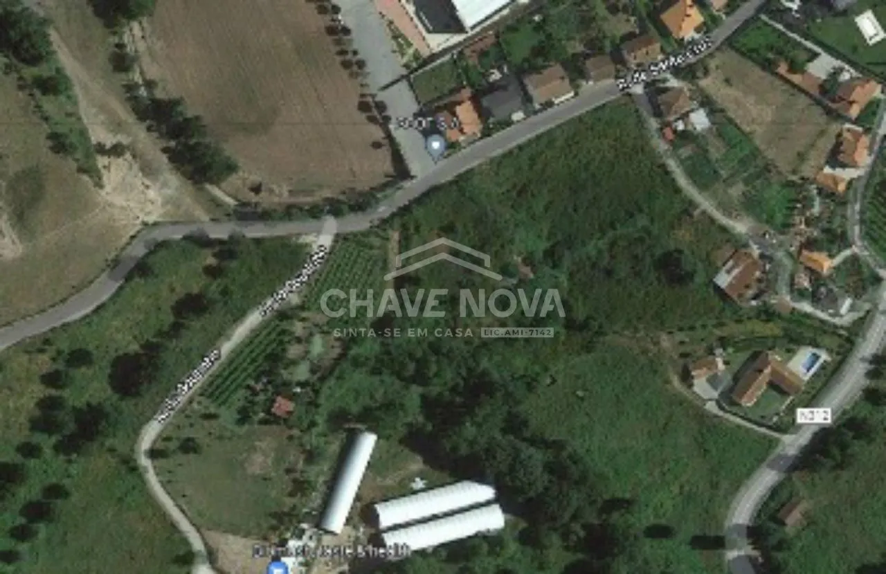 Terreno para cultivo de oliveiras, fruteiras e videiras
