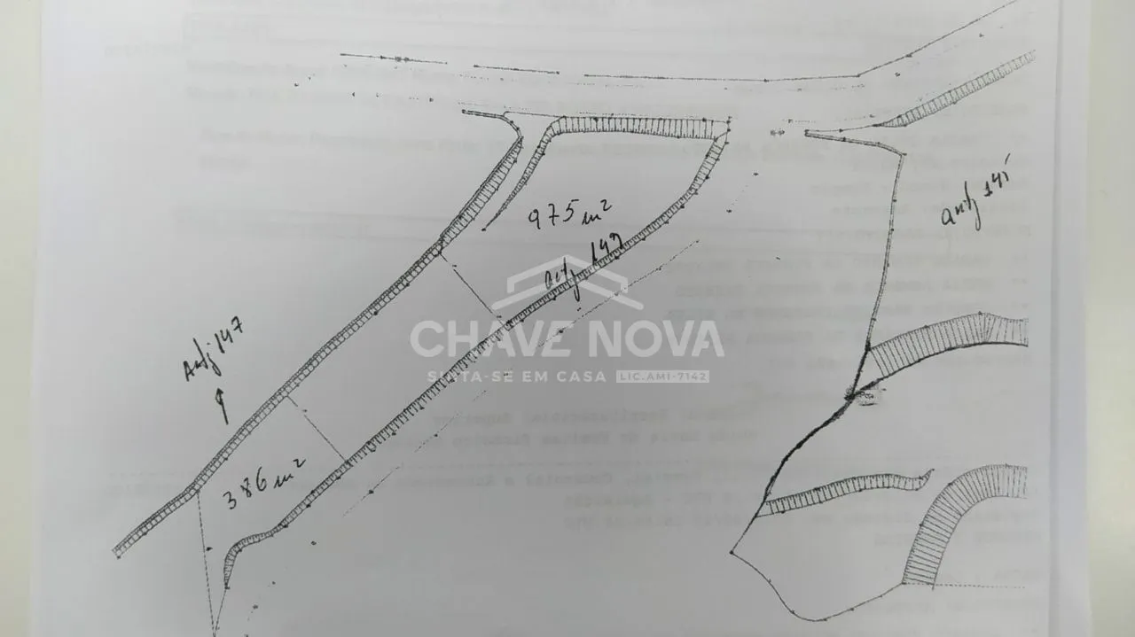Terreno para cultivo de oliveiras, fruteiras e videiras - 3