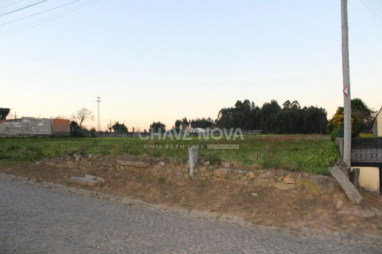 Terreno Pedroso - 2