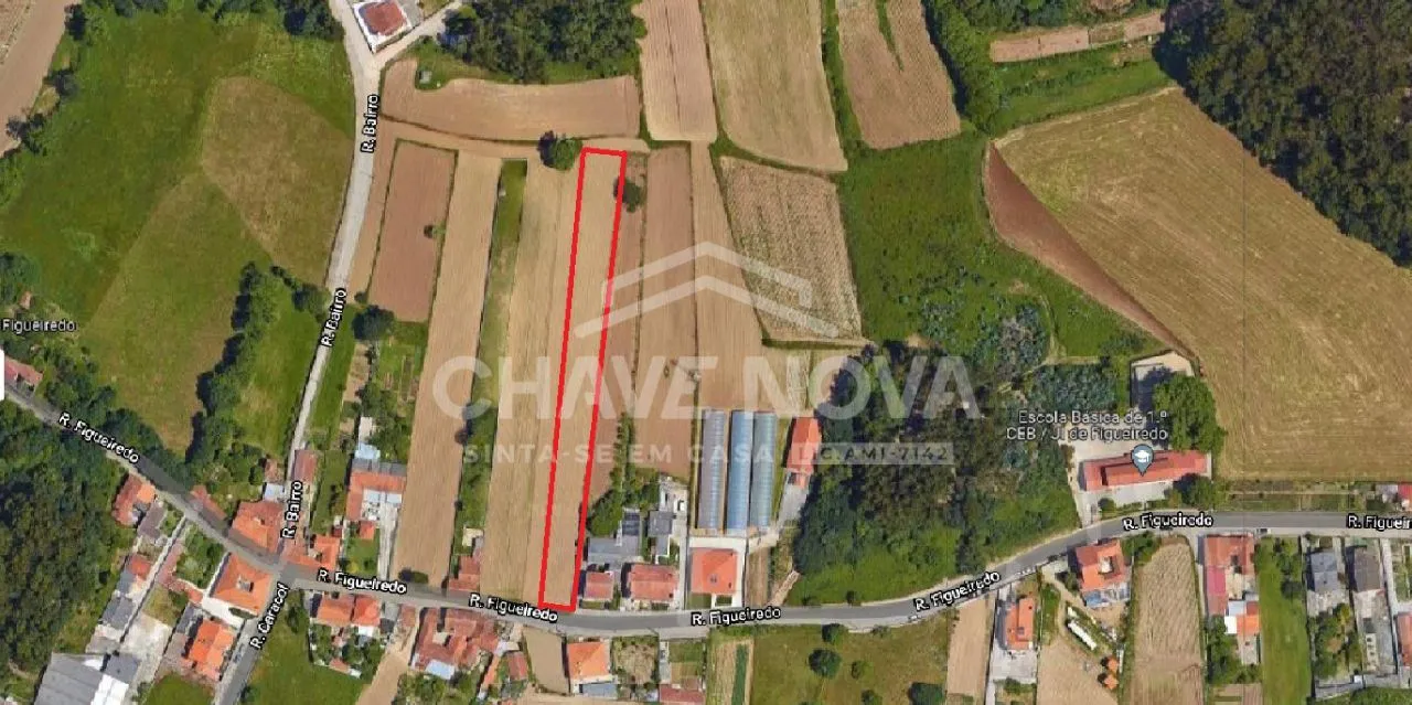 Terreno Pedroso - 3