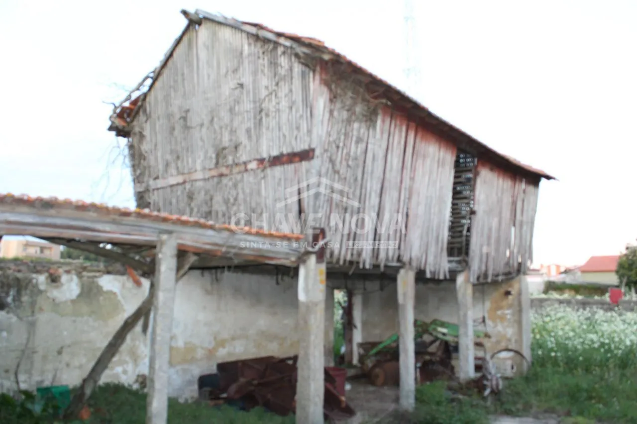 Casa secular para restaurar Arcozelo - 2