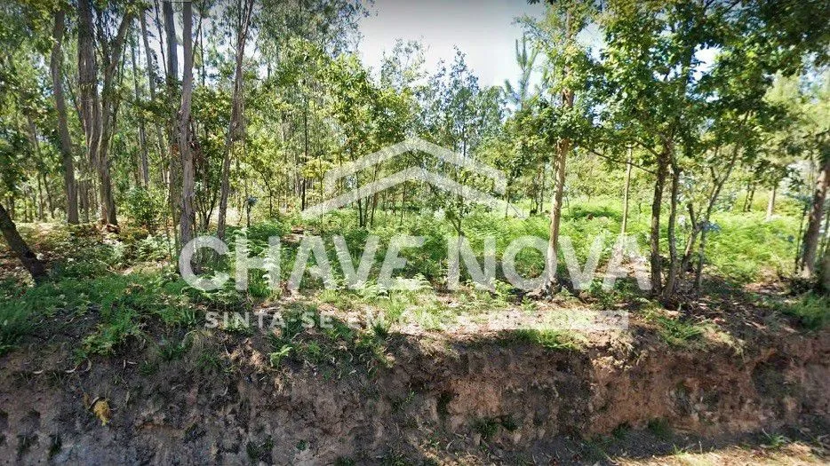 Terreno em Cucujães, Oliveira de Azeméis.