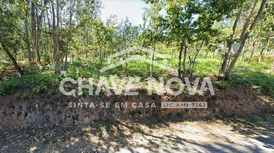 Terreno em Cucujães, Oliveira de Azeméis. - 3