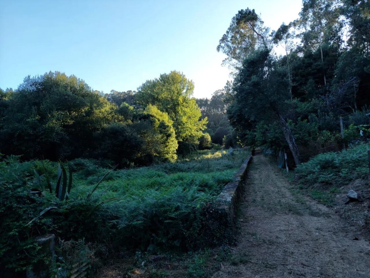 Terreno Agrícola 3500m2 - 2