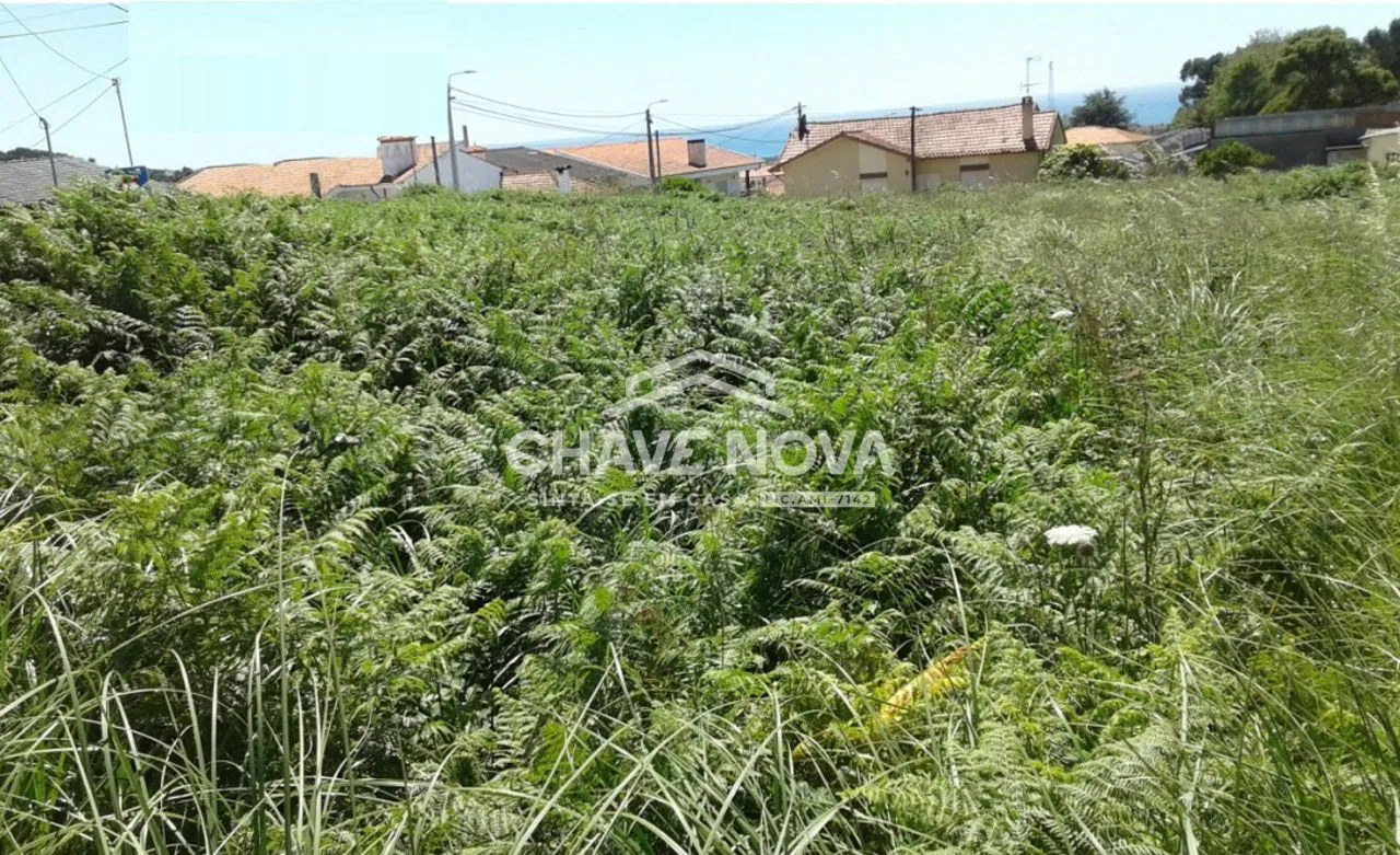 Terreno com 4.600 m2 em Arcozelo, Gaia - 2