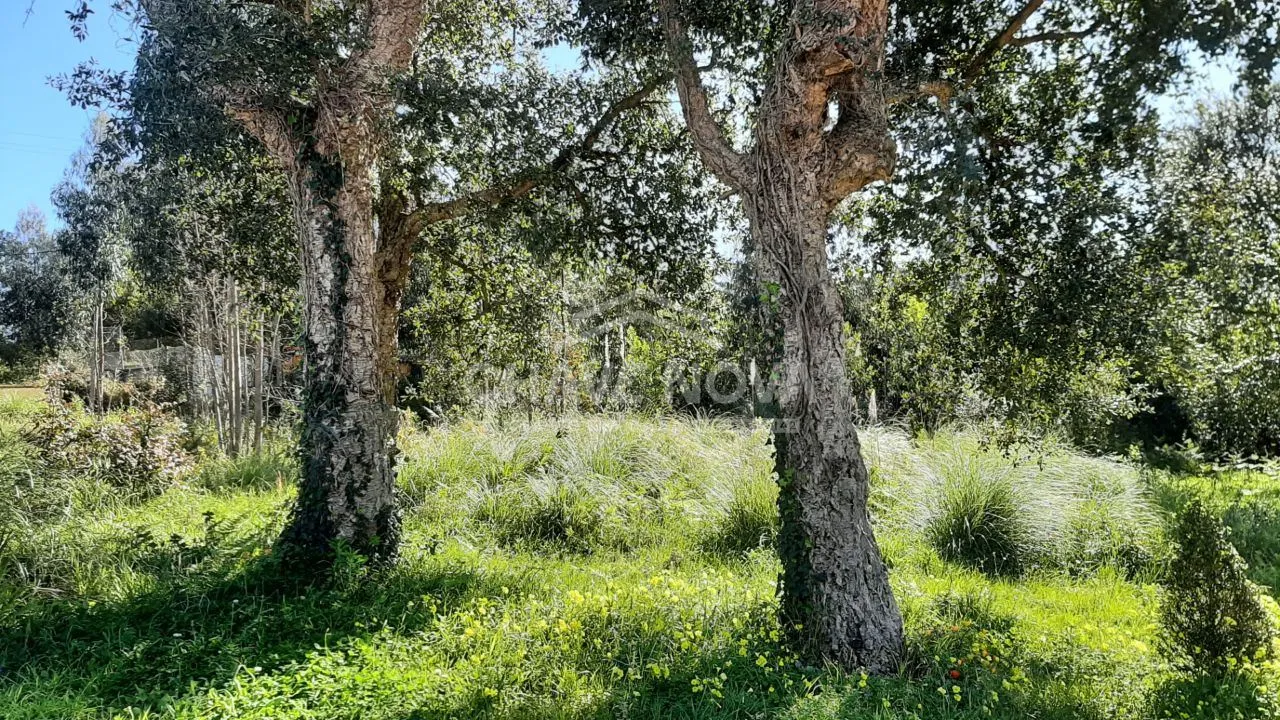 Terreno para construção em Arcozelo junto a A29 V.N.Gaia - 2