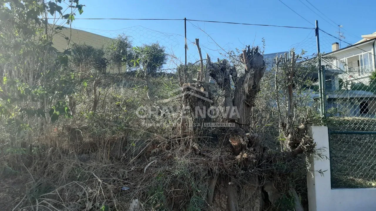 Lote para moradia  na Sra da Saúde Carvalhos.