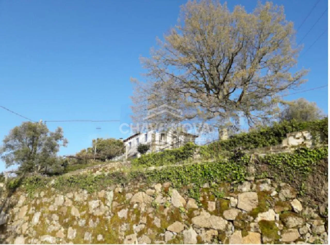 Moradia Isolada T4  - Santo Tirso