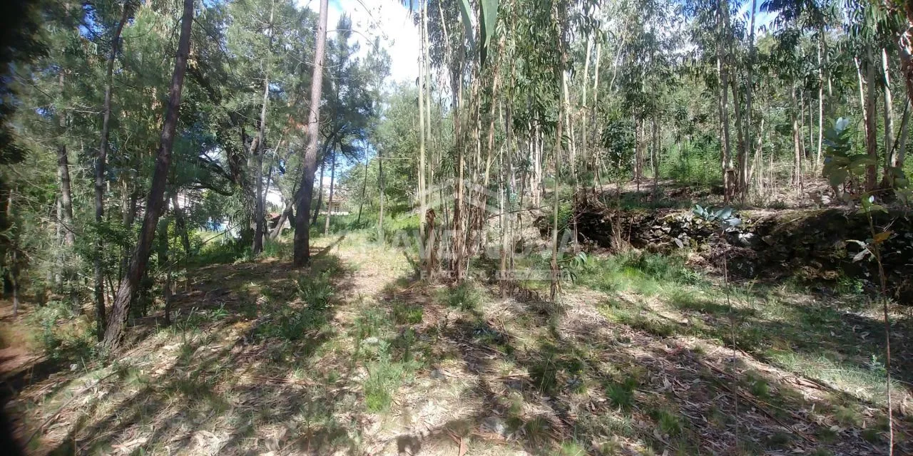 Tapada da Costa em Arouca (Mansores) com 2.020 m2 para Construção - 2