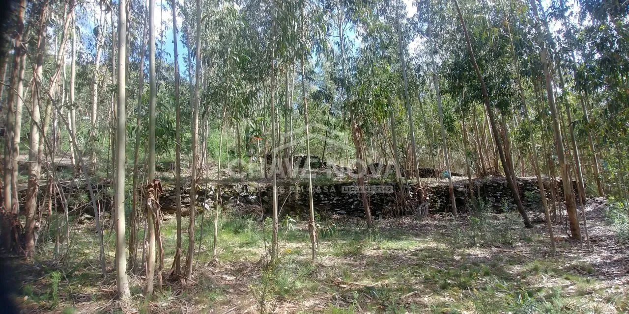 Tapada da Costa em Arouca (Mansores) com 2.020 m2 para Construção - 3