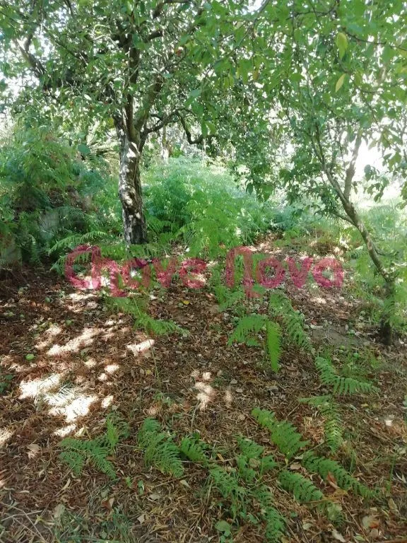 Terreno em Avintes 