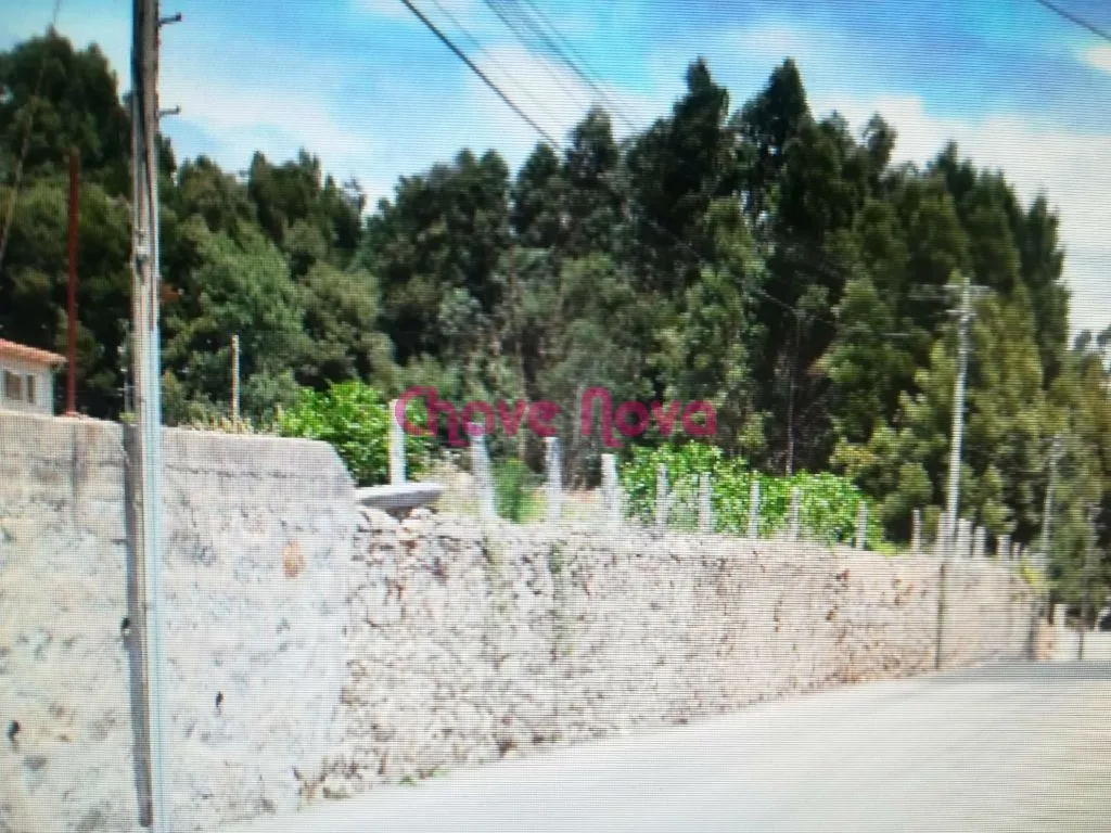 Terreno urbano para construção moradias - 2