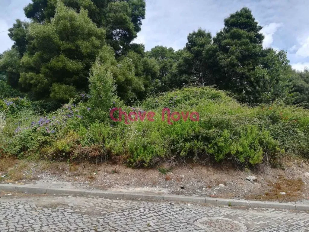 Terreno perto do Rio Douro, para construção de moradia 4 frentes - 3