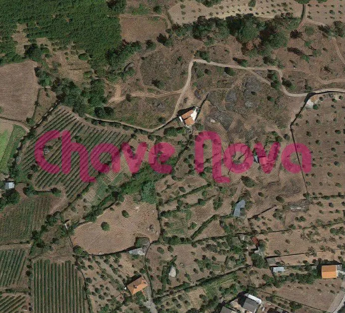 Terreno agrícola em Vinhó , Gouveia com cerca de 80 oliveiras 