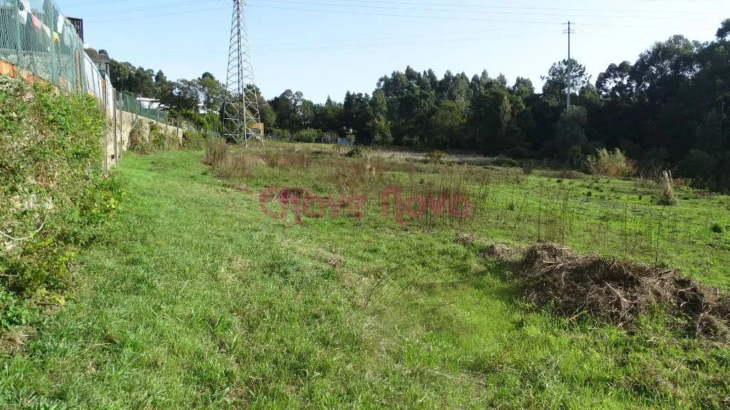 Terreno Misto para Quintinha/Moradia - 2