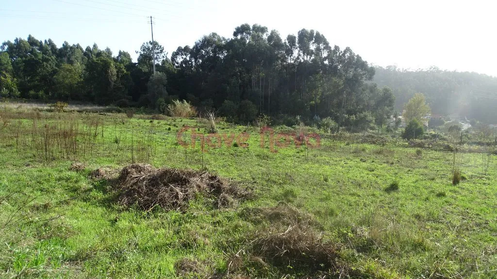 Terreno Misto para Quintinha/Moradia - 3