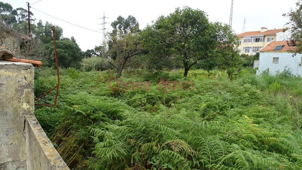 Terreno p/ construção de moradias 3 ou 4 frentes - 2