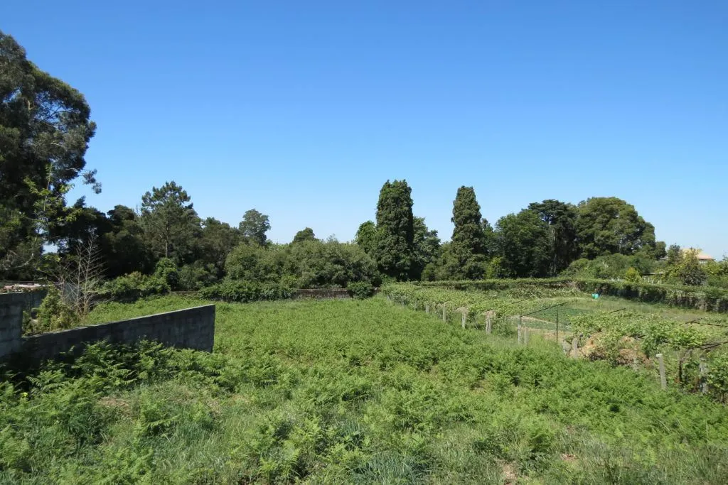 Lote terreno com 4000 m2   para construção  