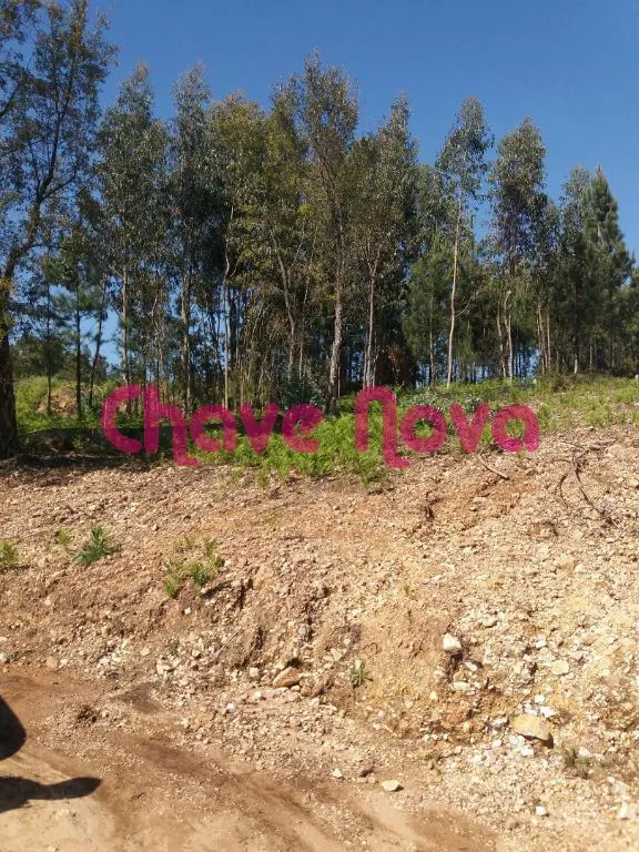 TERRENO COM 2.450mts NA EN222 - 2