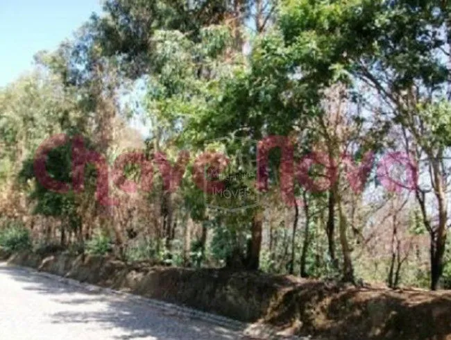 Terreno em São Felix da Marinha - 3