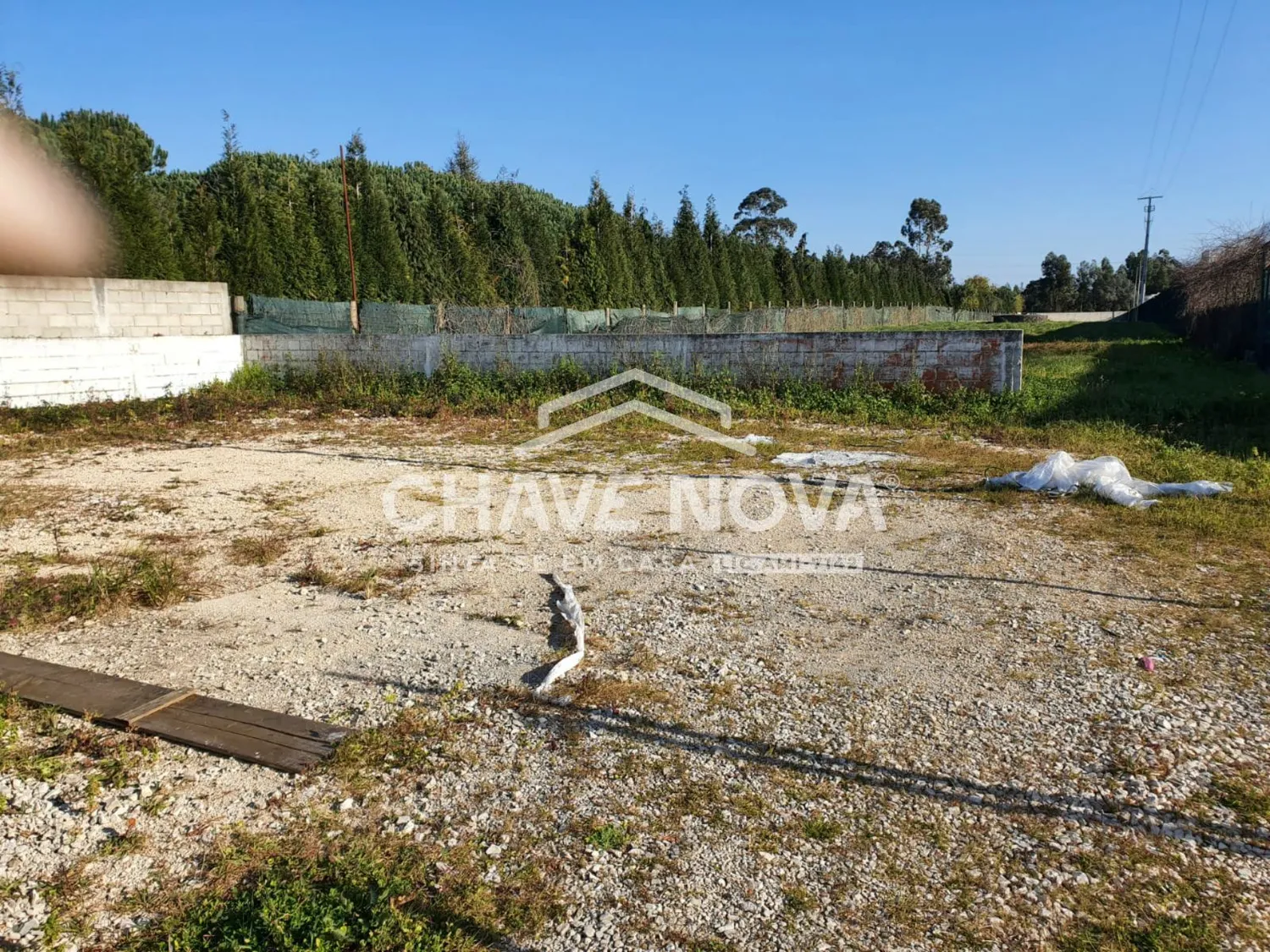 Loja com Armazém para Arrendar em Cacia - 3