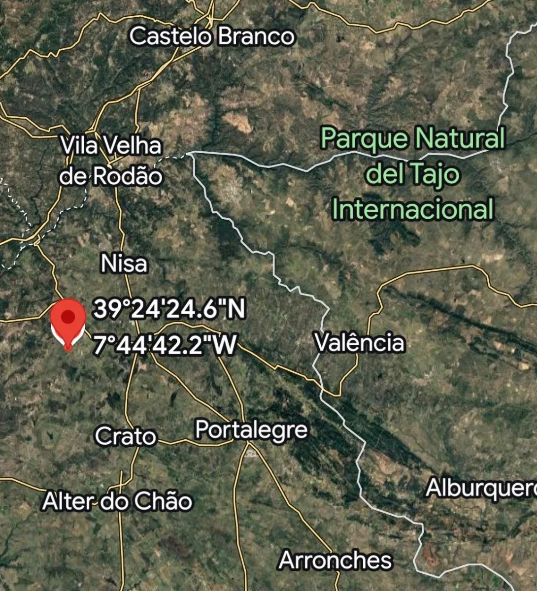 Rustic land for sale in the Tolosa region (Nisa) - Alto Alentejo﻿ - 2