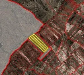 Rustic land for sale in the Tolosa region (Nisa) - Alto Alentejo﻿ - 3