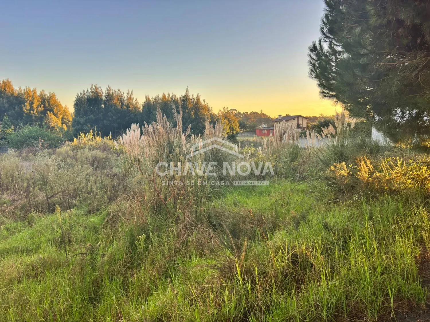 Terreno para Construção de Moradia Unifamiliar- Lote 5 - 3
