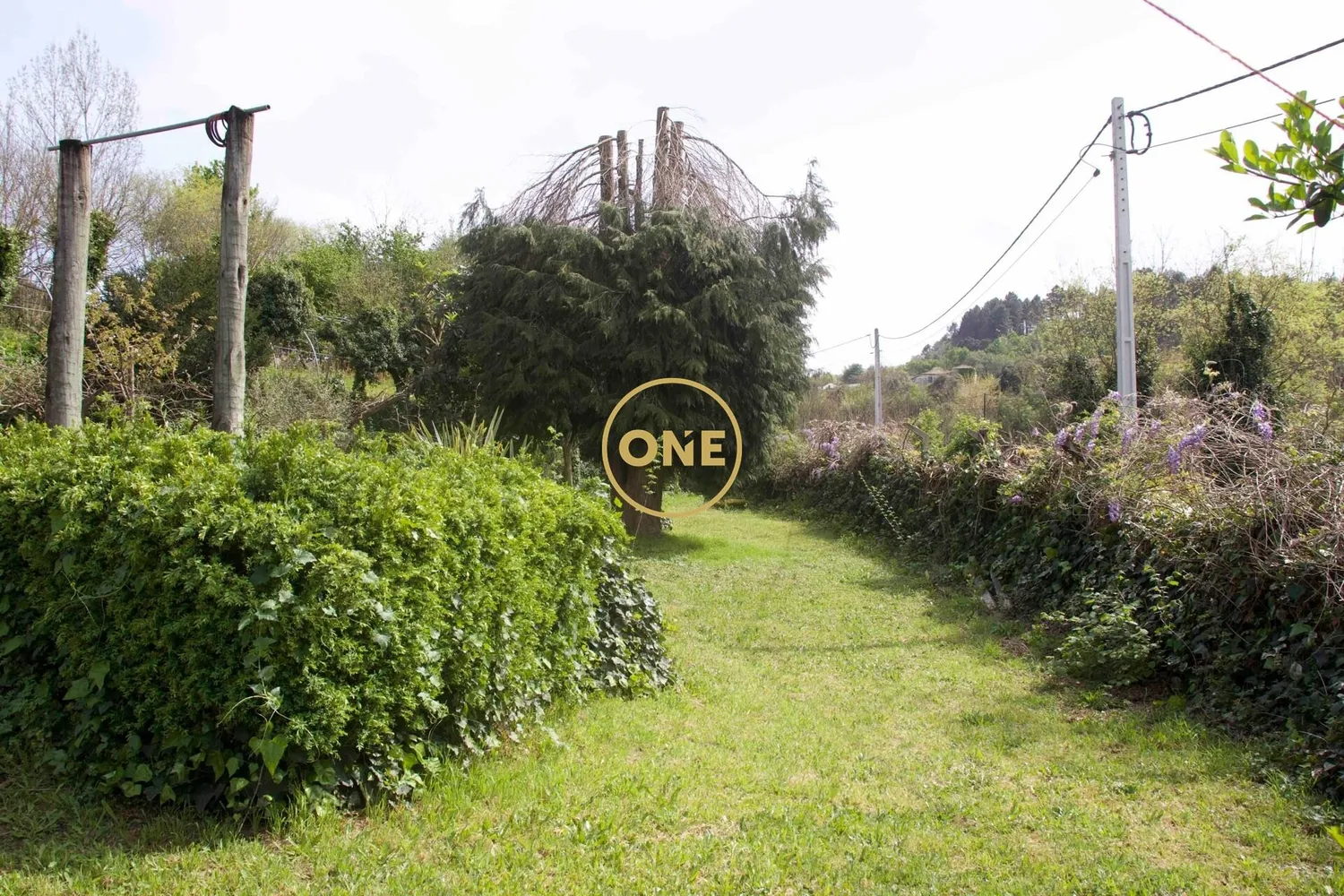 Farm in Soalhães, Marco de Canaveses — A Natural Refuge - 3